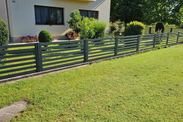 493661780_679163378339139_6823682763485032546_n